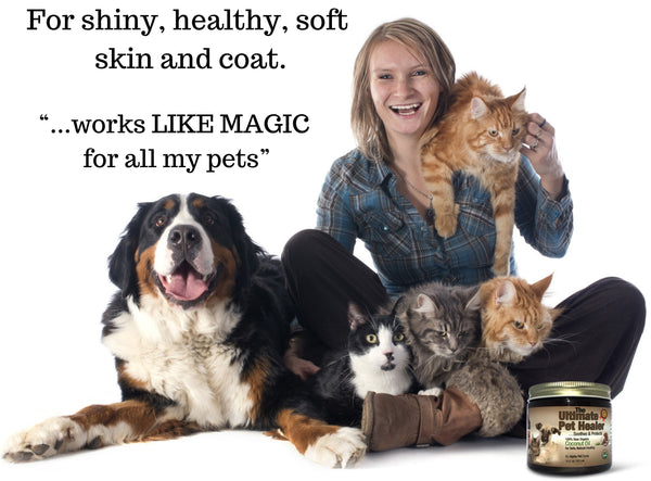 Coconut Oil for Dogs, Treatment for Itchy Skin, Dry Elbows, Paws and Nose by Alpha Pet Zone - ox2ox Gifts and Goods for Everyone