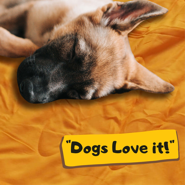 Dog Sleeping Bag Large | Travel Bed for Camping and Backpacking | Warm | Portable | Easy to Clean